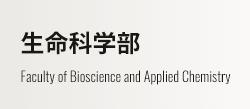 生命科学部 Faculty of Bioscience and Applied Chemistry
