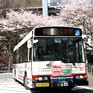 路線バス割安回数券・定期券の販売