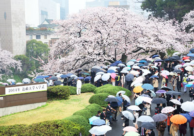 入學典禮結束後,許多新生和家長穿過北之丸公園盛開的櫻花樹,從日本武道館前往市谷校區