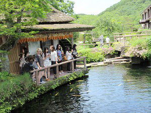In the Oshino Hakkai area