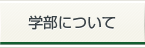 学部について