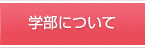 学部について