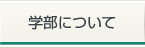 学部について
