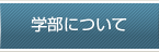 学部について