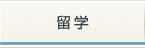 留学