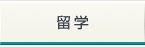 留学