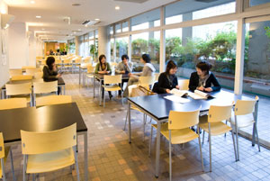 国際文化学部