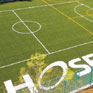 スポーツ健康学部