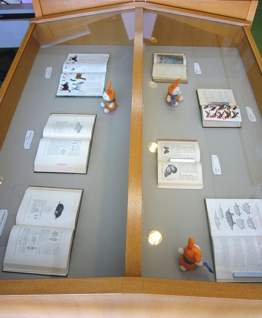 11月は「図鑑・図説における生き物」に関する作品を展示いたします