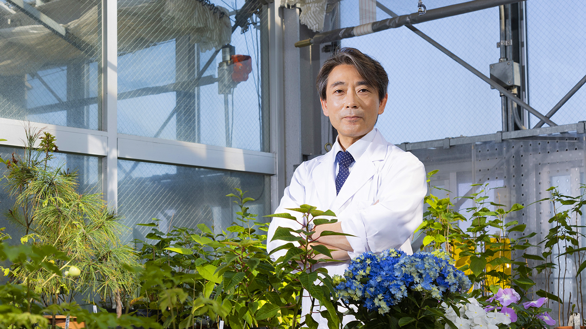 生命の仕組みを探り植物を病気から守る（生命科学部応用植物科学科