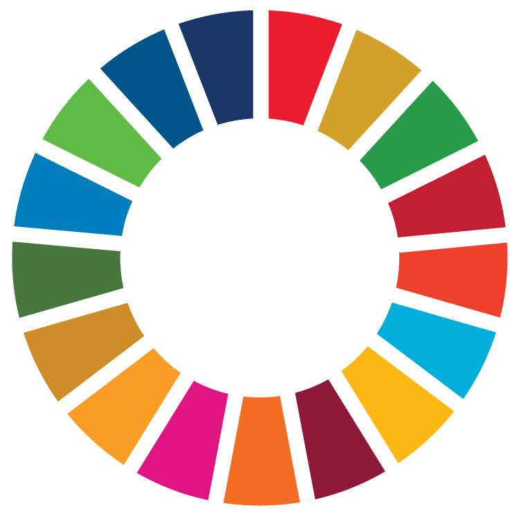 sdg_icon_wheel_rgb.png