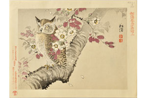 『松渓花鳥畫譜』の「山櫻鴟鵂之図」