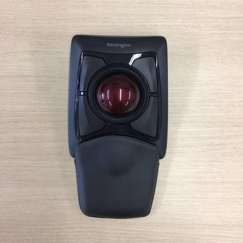 Expert Mouse