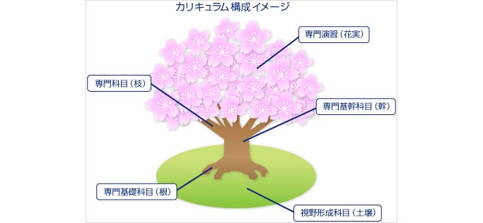 カリキュラム 法政大学 スポーツ健康学部