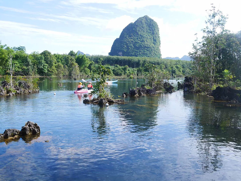 環境と文化コース（2019年度実施） 指導教員：島野 智之教授 目的地：タイ王国クラビおよびトラン 目的：日本の経済活動が、タイ（東南アジア）の自然や文化に、どのように直接的な影響を与えているのかを現地で学ぶ。わが国における経済活動そのものが、遠い熱帯雨林に影響を与えている側面があり、このような問題は、現場とそこで起きている実際を見なければなかなか理解できるものではない。現場で学び記録し、これらを理解した上で、現地の社会科学の教員と討議、最終日には各自がプレゼンテーションと討議を行う。