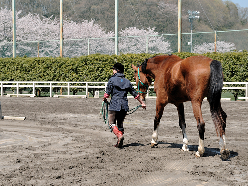 城山地区 サッカー場 馬場 多目的グラウンド 法政大学 多摩キャンパス