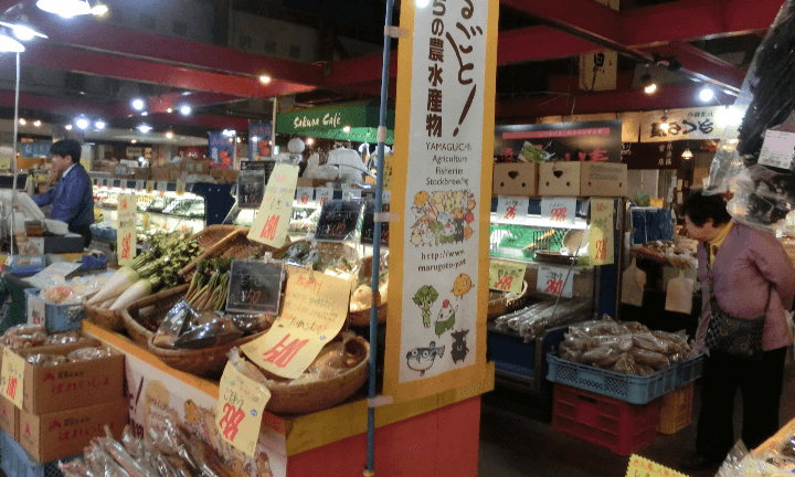 過疎化対策支援