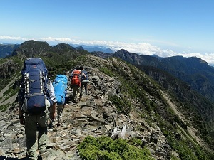 創立1951年  わがワンダーフォーゲル部は、夏季の登山（縦走）と冬季のバックカントリースキーを中心に、自転車など自然をフィールドとした活動を幅広く行っている。競技スポーツではないので戦績はない。他部では成果を得るために合宿を行っているが、我が部では合宿の成功が戦績である。また活動の場所は国内に留まらず、2017年には台湾でマイナールートを含む縦走をした。未経験者も多いが、経験豊かなスタッフのもと、活動の安全性を最重点に合宿を行っている。  なお、ワンダーフォーゲル部の情報は部運営サイト「法政大学体育会ワ