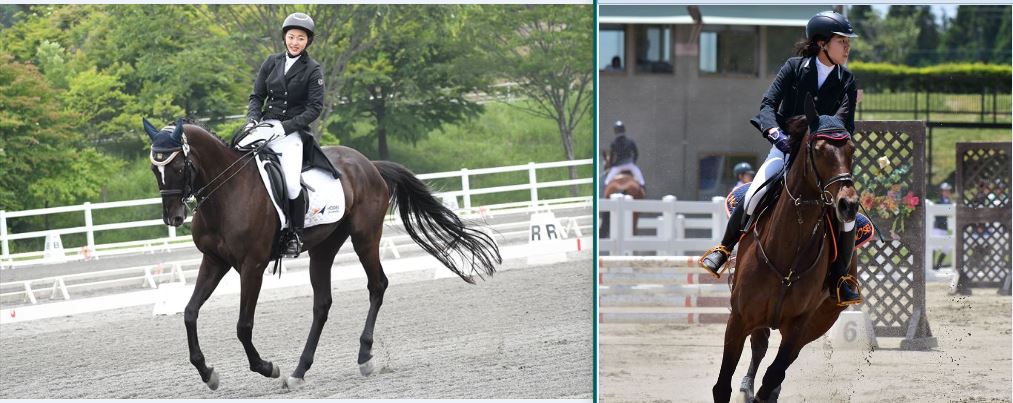 1922年創立の体育会馬術部は、自然豊かな多摩キャンパスの馬場において馬達と共に毎日活動しています。これまで全日本学生賞典障害飛越競技での優勝など、数々の成果をあげるだけでなく、地域のお祭りなどに馬と共に参加し、子供達に馬との触れ合いの場を提供する等の地域交流活動にも取組んで来ました。今後は、『引退競走馬のリトレーニング』、『ホースセラピー』、『循環型経済活動（馬糞堆肥の利活用）』等の研究教育活動にも積極的に取り組んでいきます。日々「人馬一体」を目指し、部員一丸となって努力を重ねてまいります。