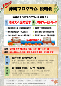 沖縄プログラム説明会（PDF／518KB）