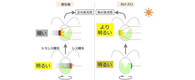 図3