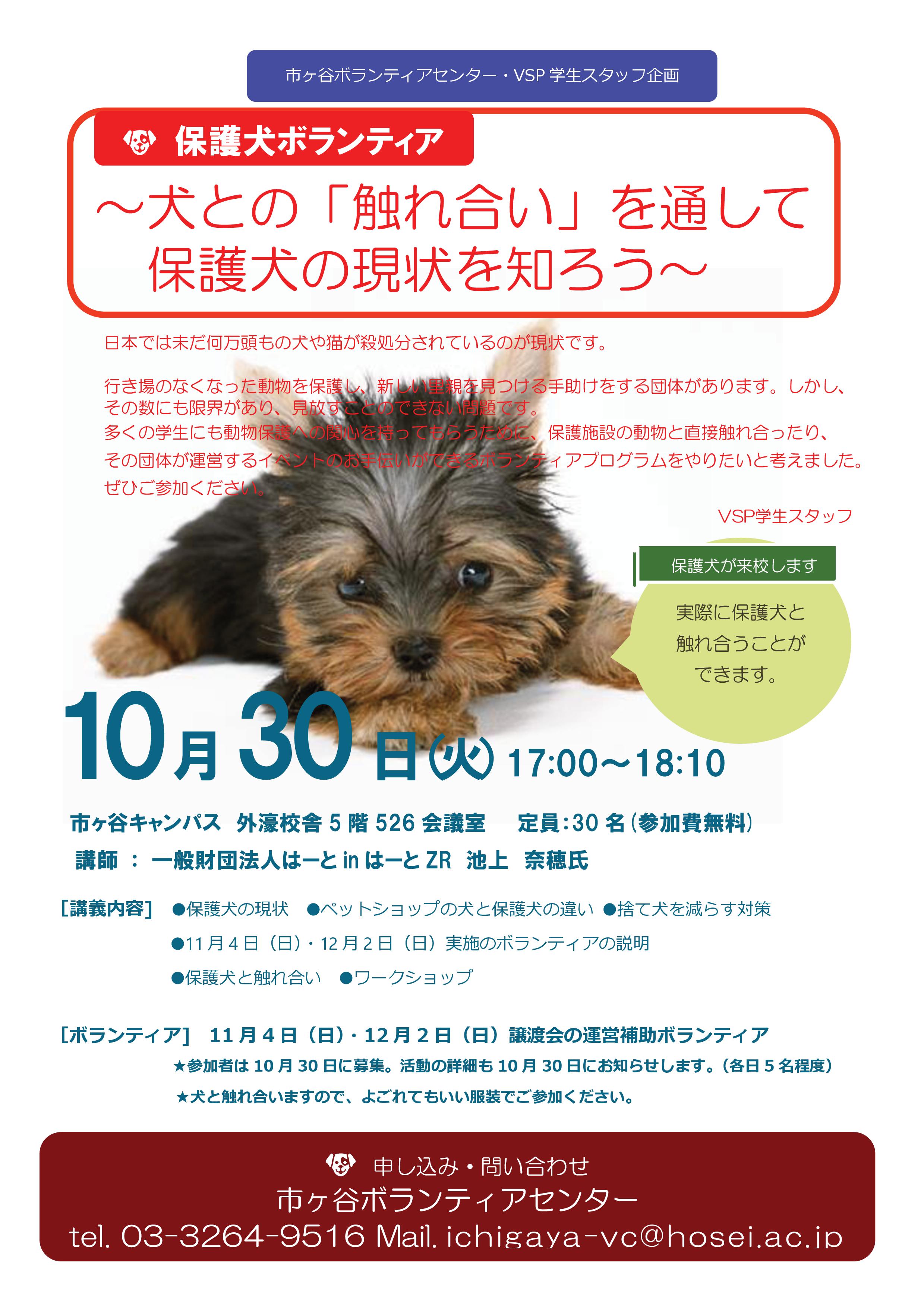 市ヶ谷 学生スタッフvsp企画 犬との 触れ合い を通して保護犬の現状を知ろう 10 30 参加者募集 法政大学