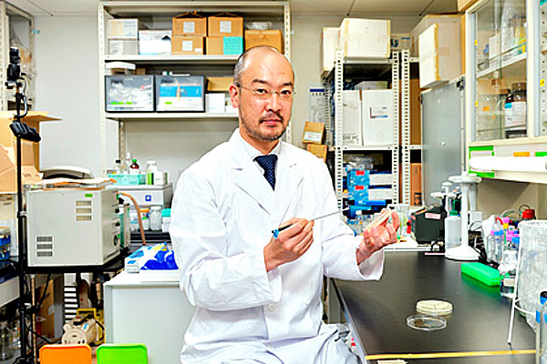 Kaneyoshi Yamamoto, Professor