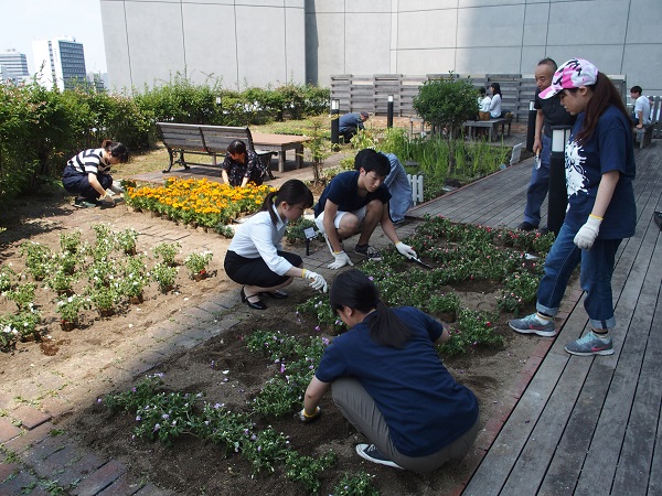 グリーンテラス ボアソナードタワー４階 にお花を植えました 法政大学 環境センター