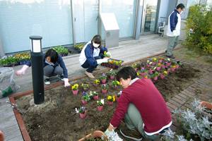 植込み作業の様子１