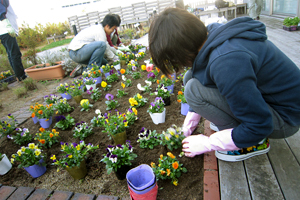 植込み作業の様子３