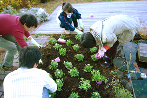 ひょうたん池の横の植込み作業の様子