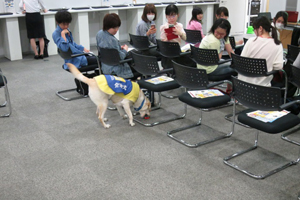 学生が隠した携帯電話を介助犬が匂いで探し当てた様子