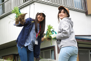 外来種駆除の様子1