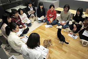 講師から保護ネコ活動に関する取り組み説明を受ける参加学生
