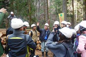 天竜杉の伐採現場にて