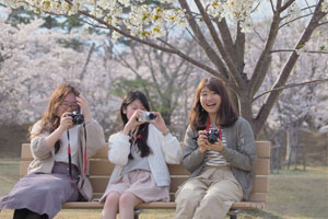 満開の桜に囲まれながら撮影する学生たち