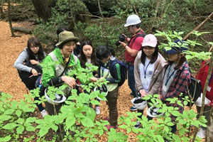 富士の樹海に生息している植物について説明を受けている様子