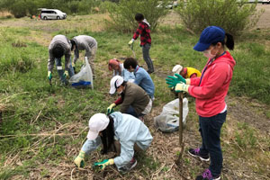 外来種植物をメンバーで協力して駆除