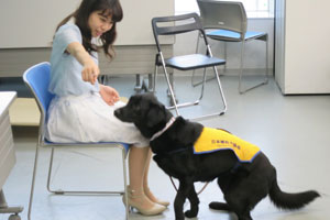 介助犬が学生の指示で、物を拾いにいく