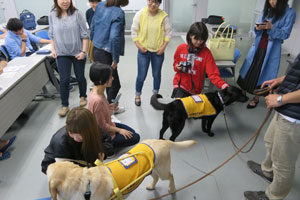 講座終了後の補助犬とのふれあい