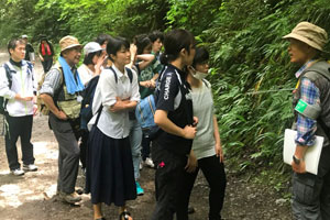 高尾山観光協会による高尾山に生息する植物のガイド