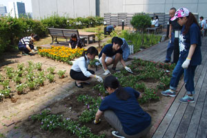 花文字「HOSEI」はインパチェンスで植え込み