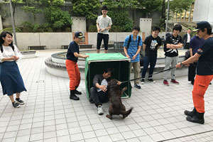 BOXの中に隠れた学生を災害救助犬が探しあてる