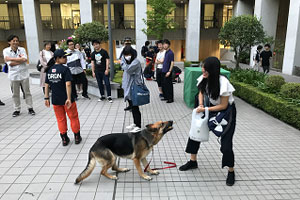 ボールのついたリードで災害救助犬と遊ぶ