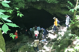 樹海の洞窟に入洞し険しい道を歩く学生