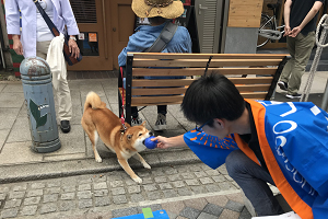 ボッチャ体験教室に通りかかった犬も参加