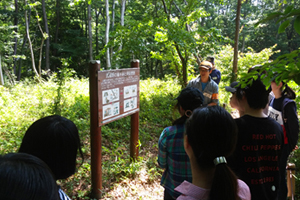 スタッフの方による里山保全に関する説明