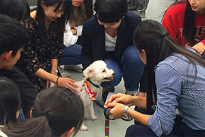 保護犬に実際にふれあい合いながら質問１