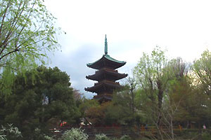 エコツアーは旧東叡山寛永寺五重塔からスタート