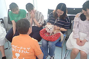 指示を聞きながら犬に触れる